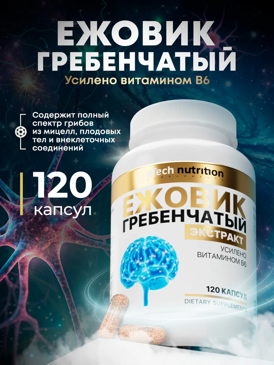 Ежовик Гребенчатый полный спектр грибов