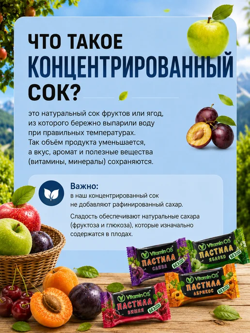 VitaminOS Пастила без сахара фруктовая натуральная Ассорти 1500 г, 700 г, фото 6