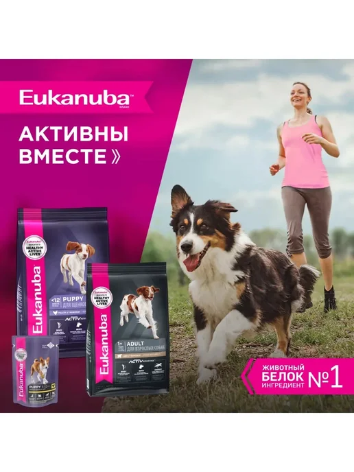 Сухой корм Eukanuba для собак, средние, щенки, курица, 6 кг, фото 7