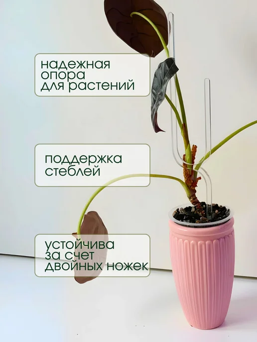 3-Тонн Опора подвязка для комнатных растений и цветов, белый, в упаковке 90 г, фото 3