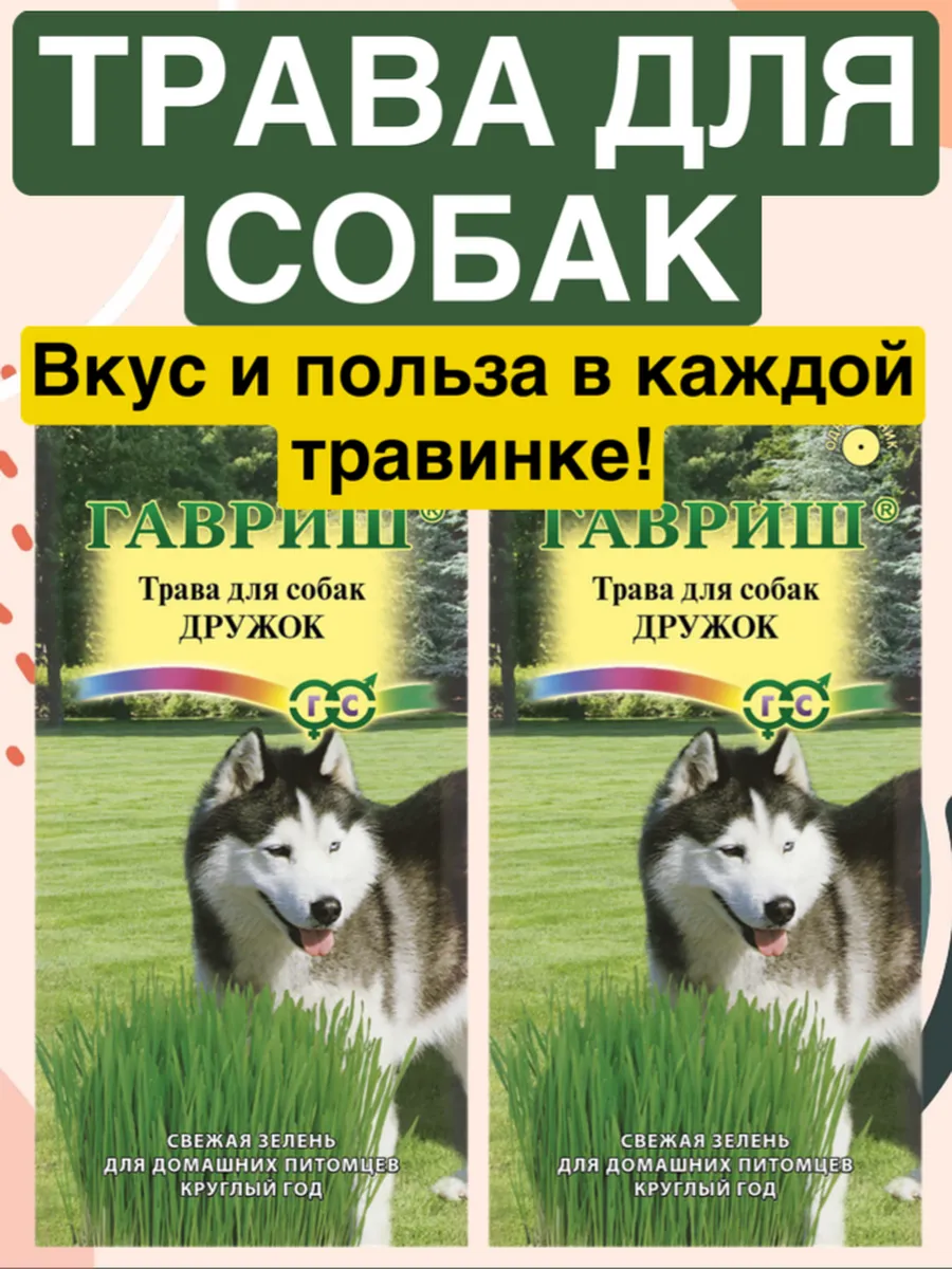 Съедобная Трава для Собак