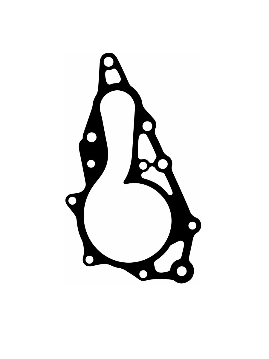 Прокладка помпы для Toyota (16124-46070) паронит